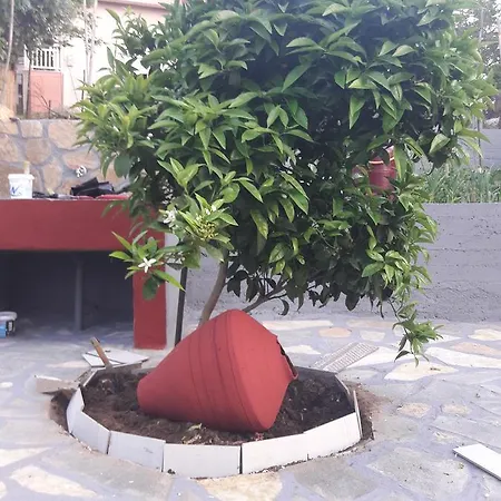 Studios Maria Skála Marión